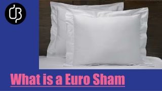 What is a euro sham