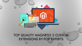 Top Quality Magneto 2 Custom Extensions By Top Experts