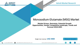 Monosodium Glutamate (MSG) Market Size , Share Report 2025