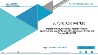 Sulfuric Acid Market Size Outlook (2018-2025) Demand Analysis