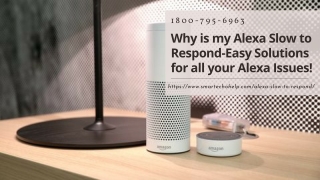 Alexa Slow to Respond Fix Now 1-8007956963 Alexa Echo Stop Responding?