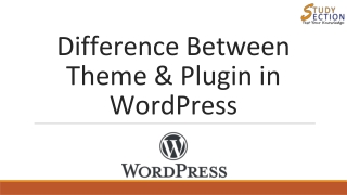 Difference Between Theme & Plugin in WordPress