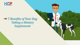 7 Benefits of Your Dog Taking a Dietary Supplement