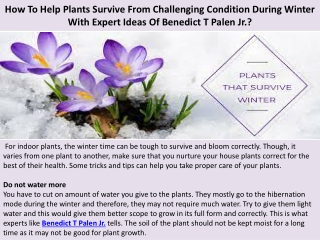 How To Help Plants Survive From Challenging Condition During Winter With Expert Ideas Of Benedict T Palen Jr.?