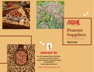 One of The Top Peanuts Suppliers In India