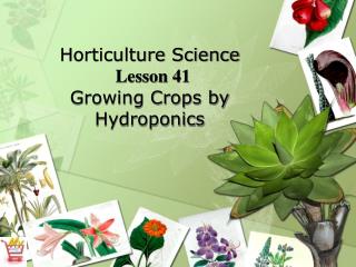 Horticulture Science Lesson 41 Growing Crops by Hydroponics