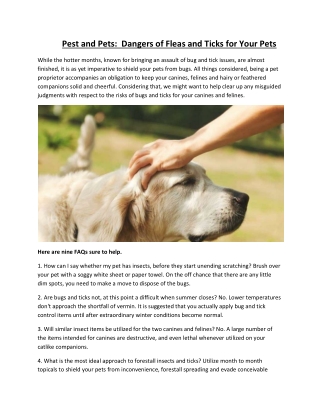 Flea and Tick Control Services TX