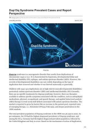 Dup15q Syndrome Prevalent Cases and Report Perspective