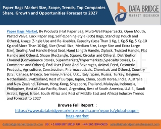 Paper Bags Market Size, Scope, Trends, Top Companies Share, Growth and Opportunities Forecast to 2027