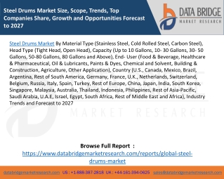 Steel Drums Market Size, Scope, Trends, Top Companies Share, Growth and Opportunities Forecast to 2027