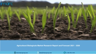 Agricultural Biologicals Market: Global Size, Share, Trends, Analysis, Growth & Forecast to 2021-2026