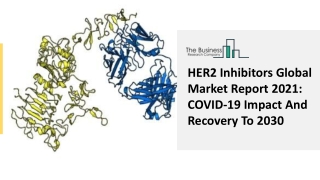 HER2 Inhibitors Market Latest Trends And Opportunities Till 2025