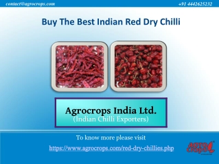Buy The Best Indian Red Dry Chilli