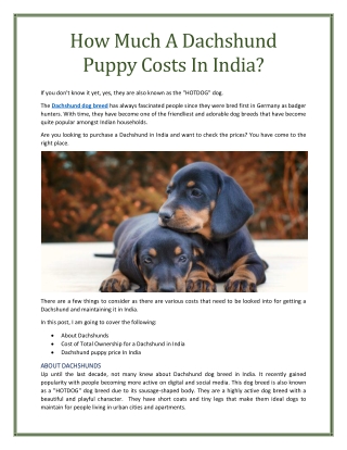 How Much A Dachshund Puppy Costs In India?