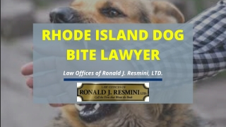 Rhode Island Dog Bite lawyer