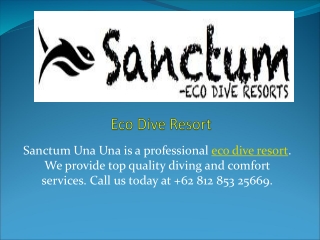 Eco dive resort