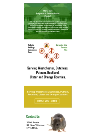 Bed bug control Dutchess | Cockroach control Dutchess