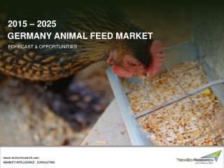Germany Animal Feed Market By Type, By Region, Competition, Forecast & Opportunities, 2026