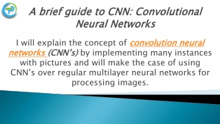 A brief guide to CNN: Convolutional Neural Networks