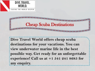 Cheap Scuba Destinations