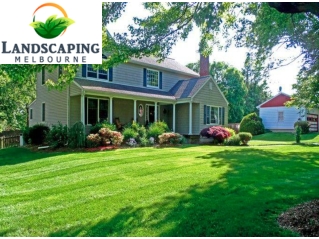 Landscaping Front Yard