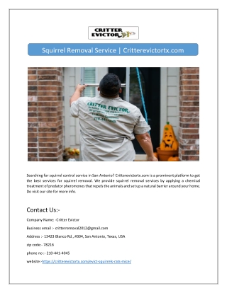 Squirrel Removal Service | Critterevictortx.com