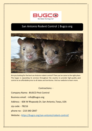 San Antonio Rodent Control | Bugco.org