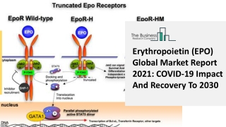 Erythropoietin (EPO) Market Segment, Potential Revenue And Emerging Insights