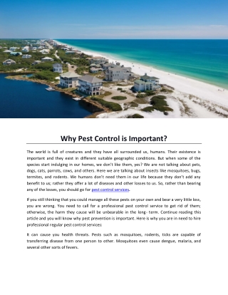 Why Pest Control is Important?