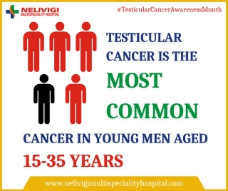 Facts about Testicular Cancer | Best Urology Hospitals in Bellandur, Bangalore | Nelivigi Multispeciality Hospital