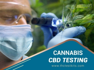 Why should you consider using our Cannabis Testing Kits?