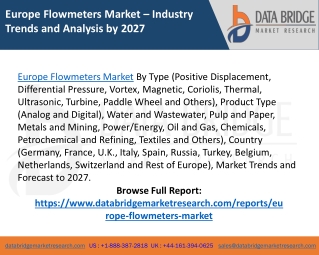 Europe Flowmeters Market CAGR, Trends, Top Players, Analysis, Industry Size - Forecast 2027