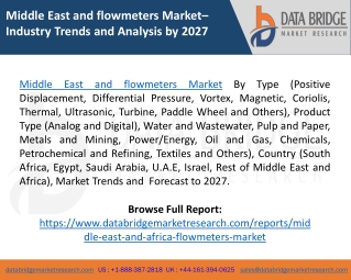 Middle East and Africa Flowmeters Market Demands, Analysis, Size, Trends, Revenue by 2027