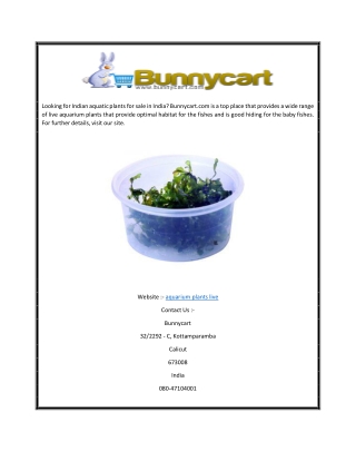 Aquarium Plants Live | Bunnycart.com
