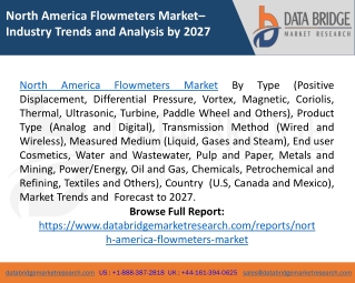 North America Flowmeters Market Size, Reports, Demands, Share - Forecast 2027