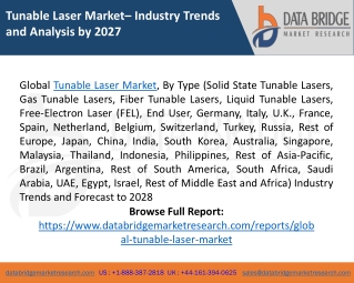 Tunable Laser Market Size, Reports, Demands, Share - Forecast 2028