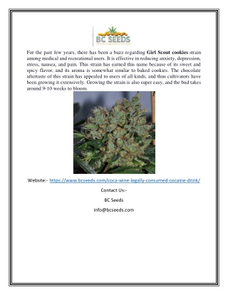 Coca Wine | Bcseeds.com