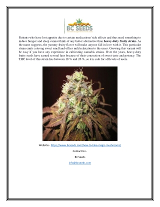 Shrooms Orange Juice | Bcseeds.com