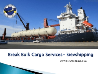 Break Bulk Cargo Services