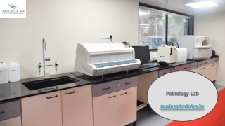 Pathology Lab
