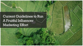 Current Guidelines to Run a Fruitful Influencer Marketing Effort