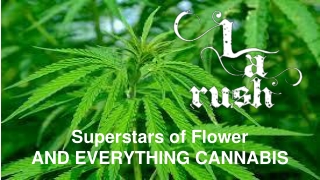 Marijuana Delivery West Hills - LA Rush