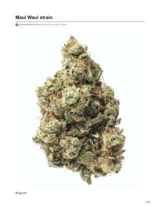 Maui Waui Strain