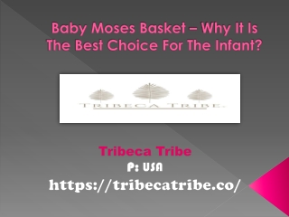 Baby Moses Basket – Why It Is The Best Choice For The Infant?