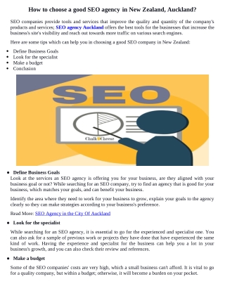 professional seo services agency in auckland