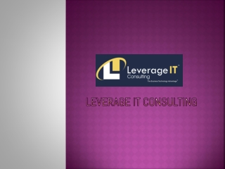 LeverageITc - Information Technology and Services