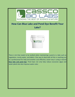 How Can Blue Lake and Pond Dye Benefit Your Lake?