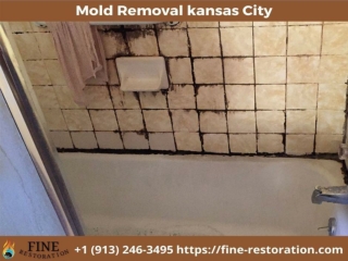 Mold Remediation & Mold Removal Service in kansas city