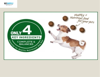 4 Essentials for Quality Pet Diet