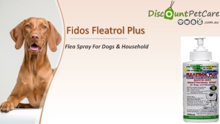 Buy Fido’s Fleatrol Plus Flea Spray for Dogs & Household - DiscountPetCare